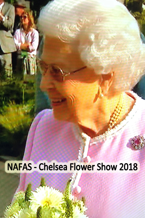 NAFAS - Chelsea Flower Show 2018 - the Queen with bouquet made by Gill McGregor