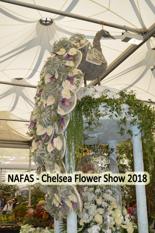 NAFAS - Chelsea Flower Show 2018 - Winter Bird - designed by Gill McGregor