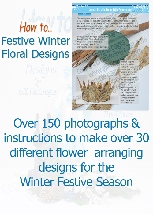 Flower Arranging Books by Gill McGregor 'Festive Winter Floral Designs' 