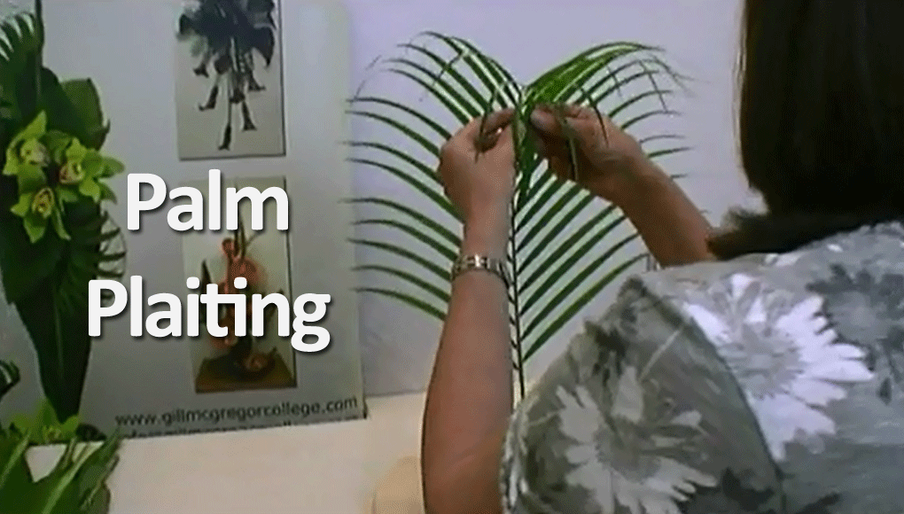 plaited palm leaf lesson